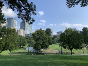 都市の高層ビル群を背景にした緑豊かな公園の風景